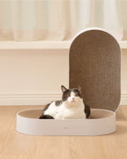 All Day Cat Scratcher . Brown