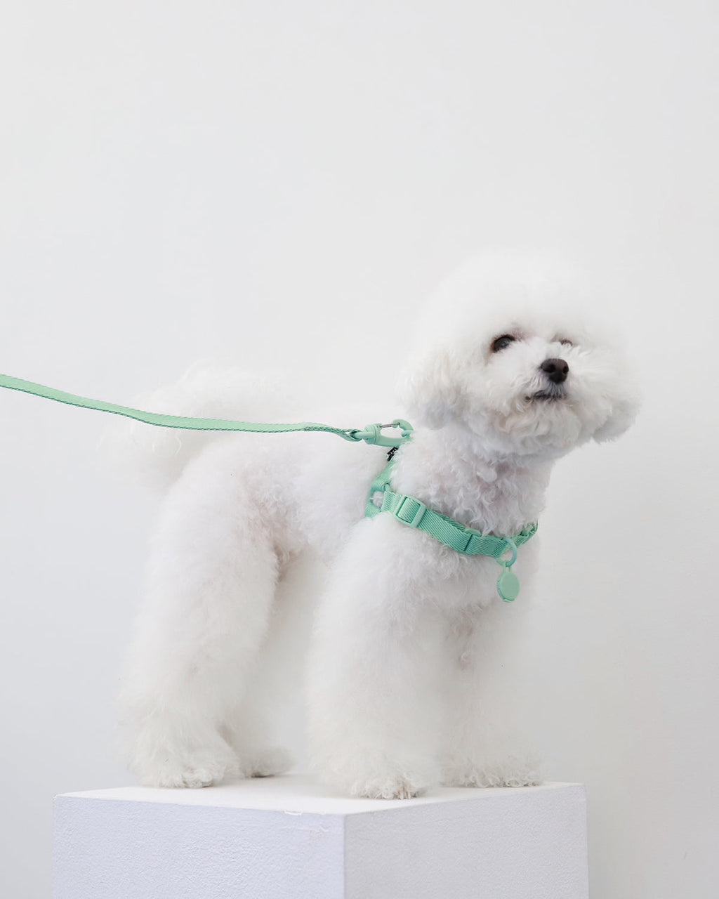 Macaron Comfort Harness . AQUA