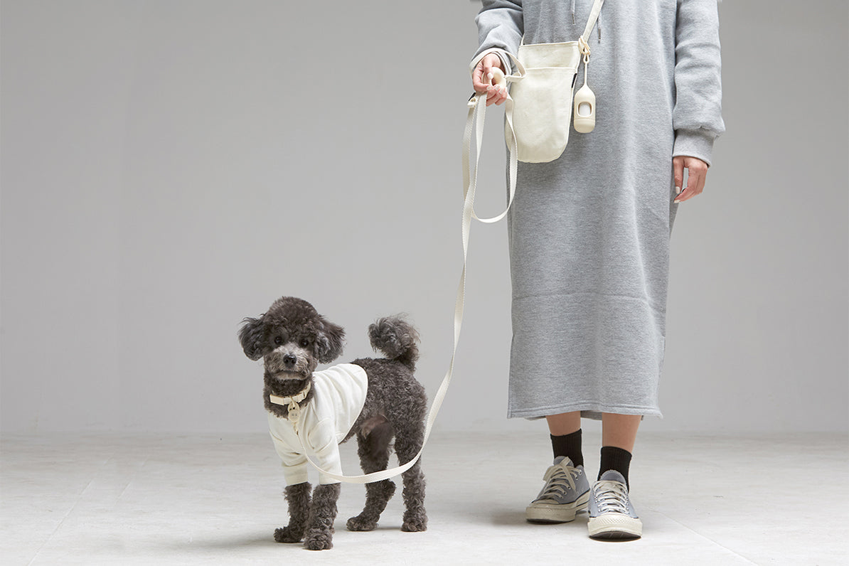 Macaron Walking Bag