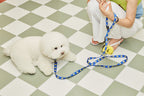 Smile Edition . Blue . Leash