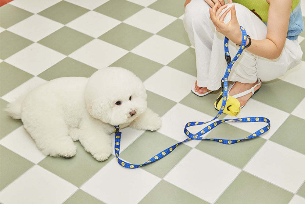 Smile Edition . Blue . Collar & Leash Set