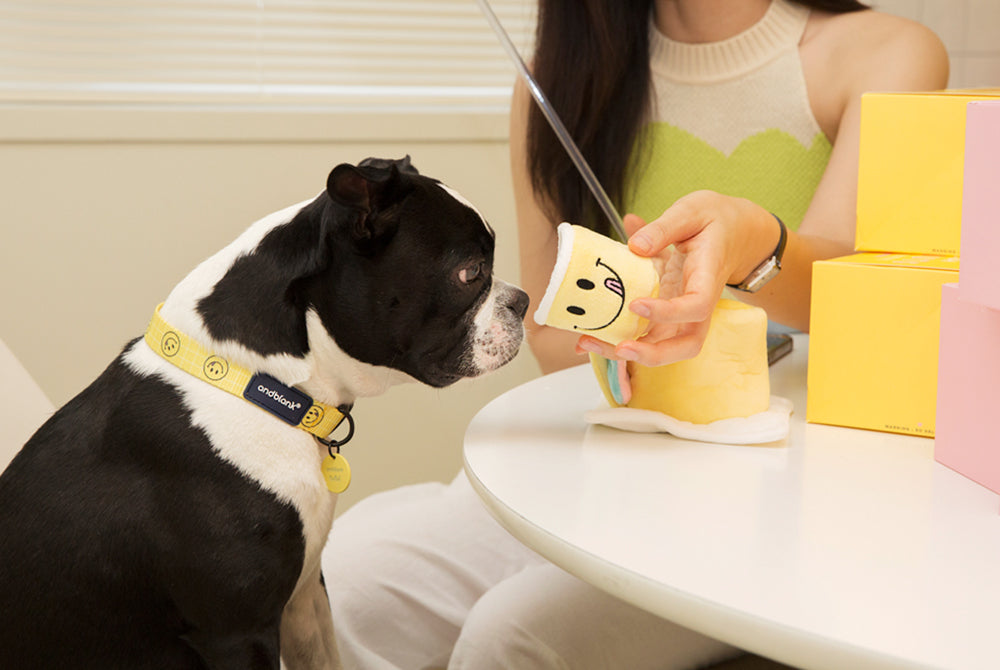 Smile Edition . Yellow . Collar & Leash Set