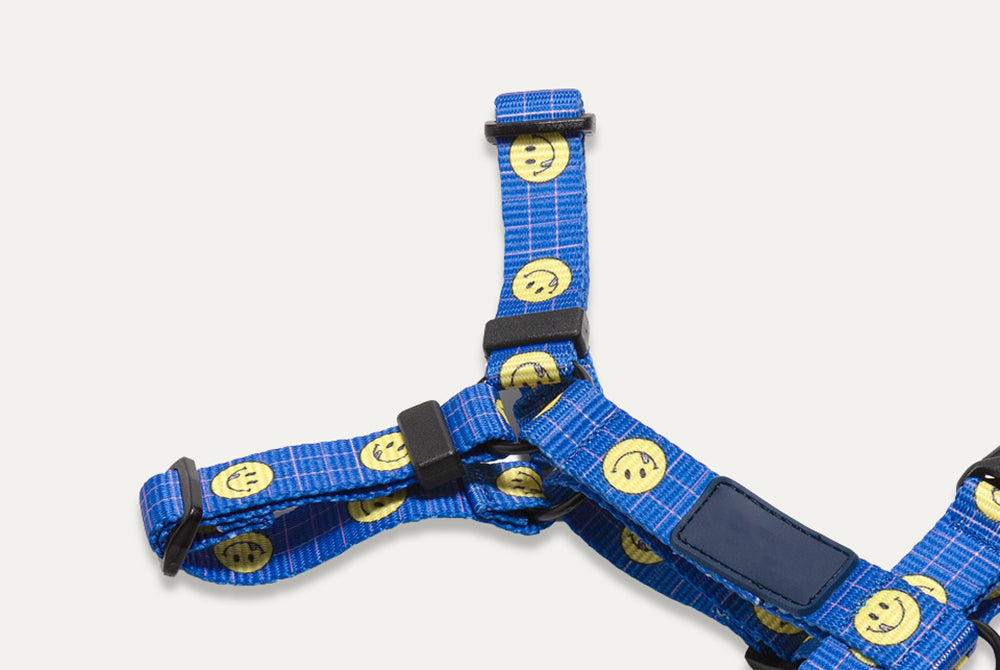 Smile Edition . Blue . Harness & Leash Set