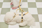 Smile Edition . Yellow . Harness & Leash Set