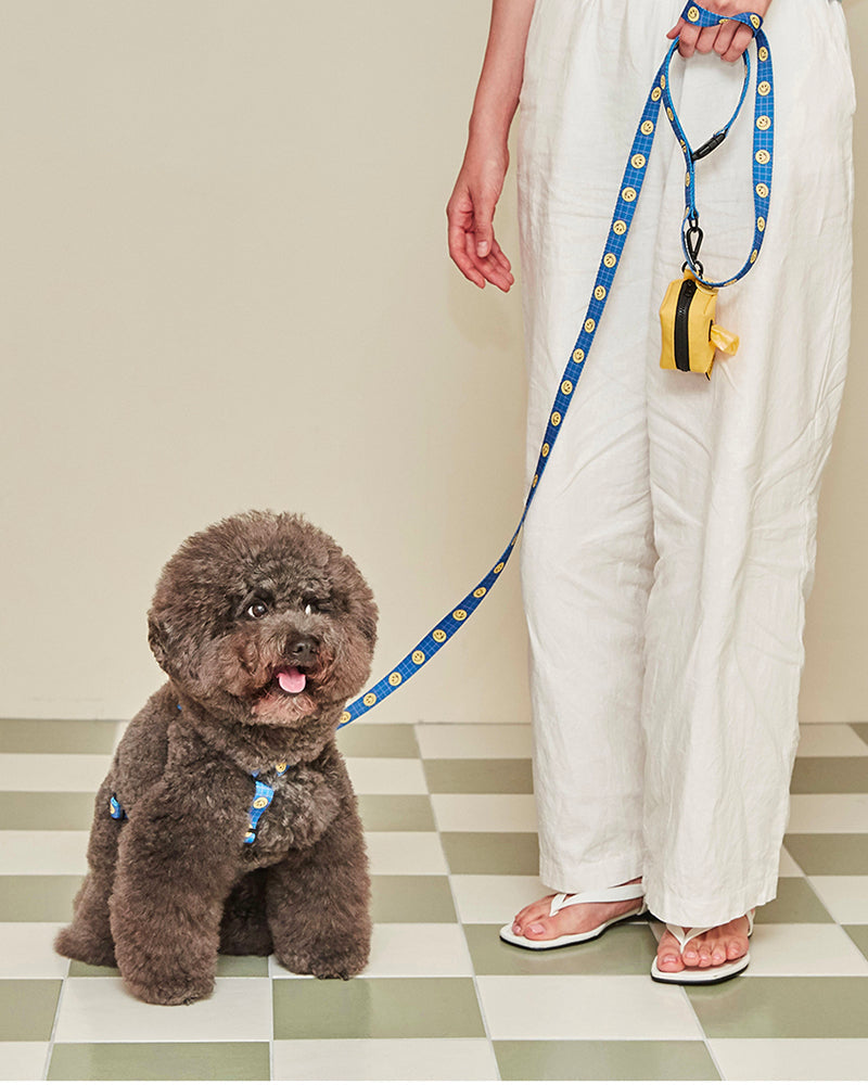 Smile Edition . Blue . Harness & Leash Set